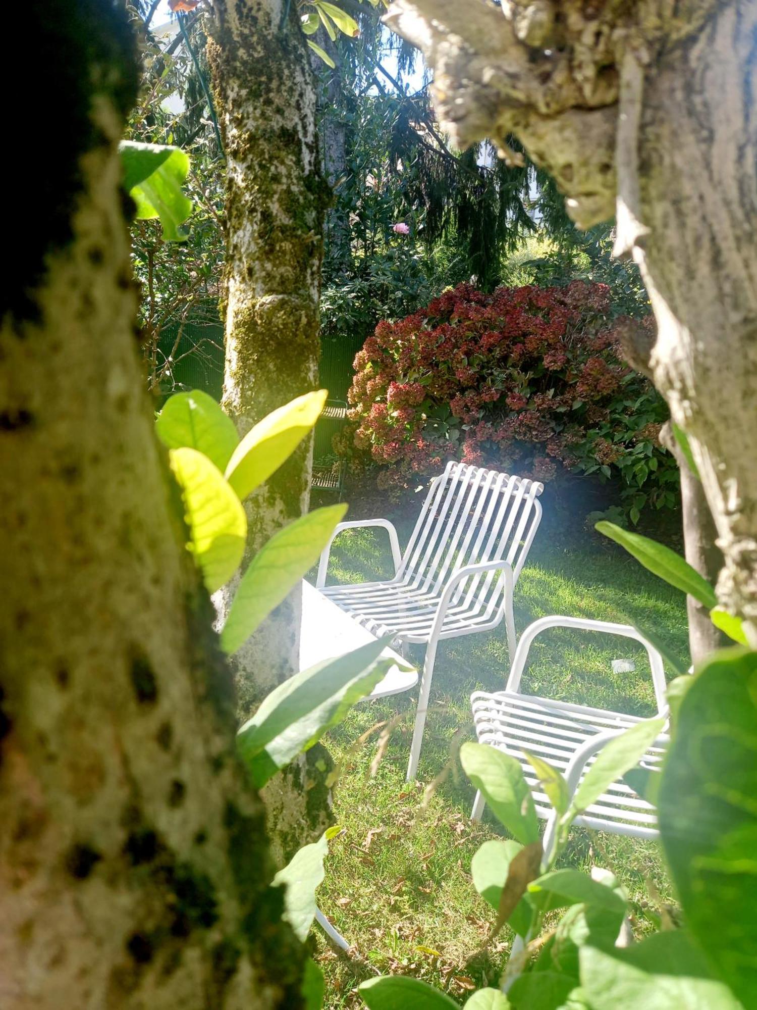 A Casa Di Dora Bed & Breakfast Treviso Exterior foto