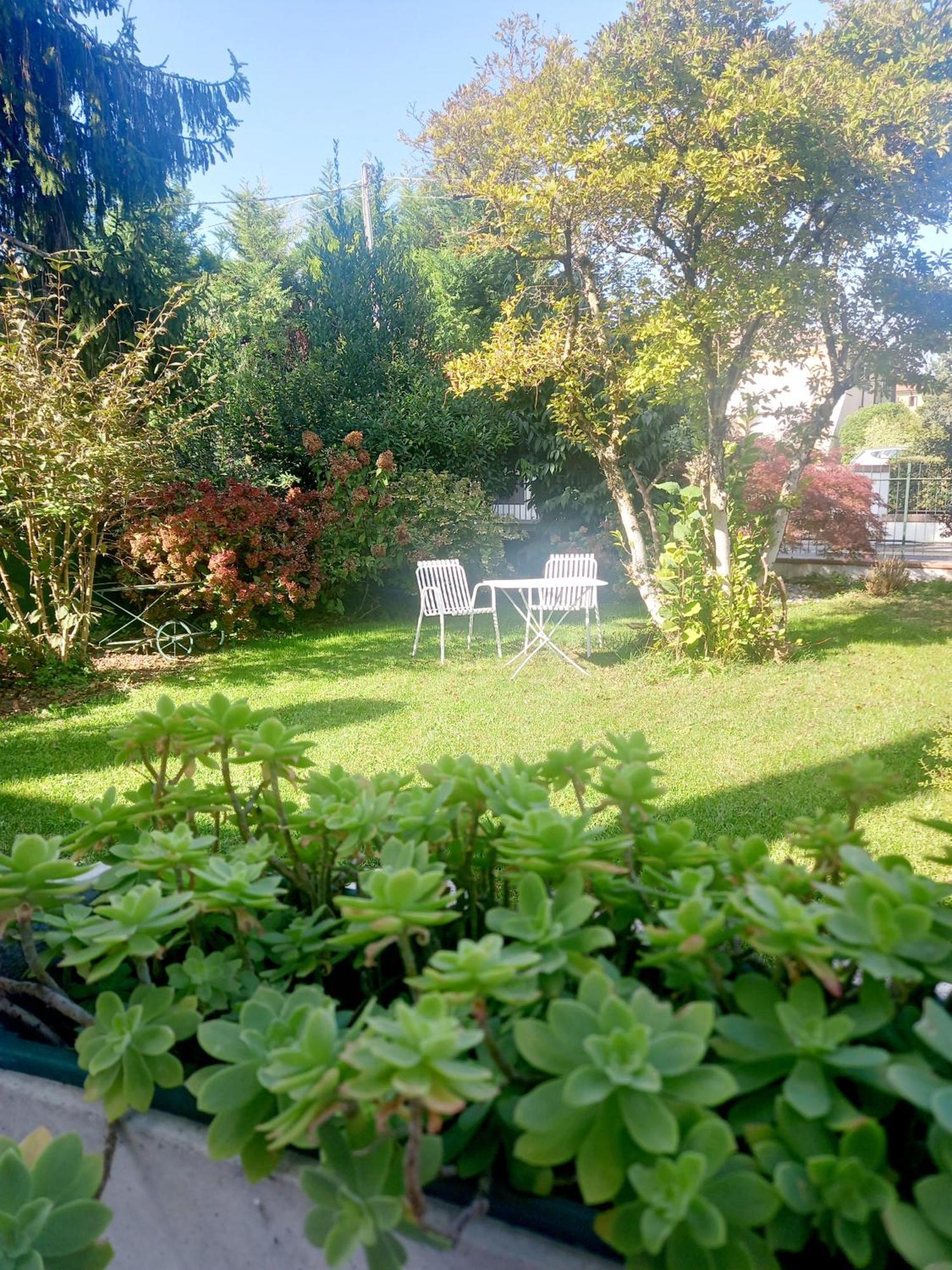 A Casa Di Dora Bed & Breakfast Treviso Exterior foto