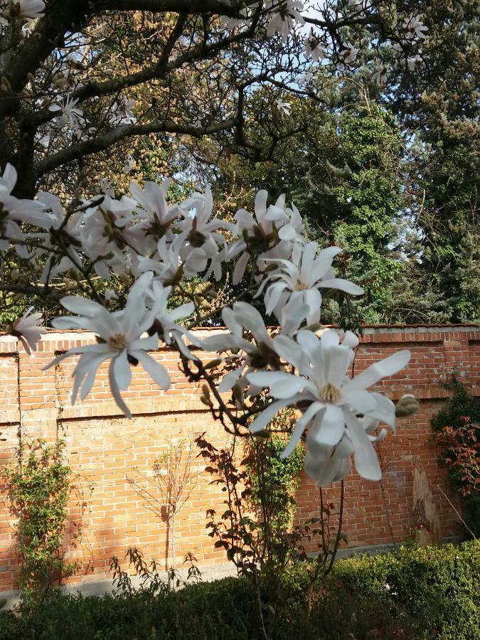 A Casa Di Dora Bed & Breakfast Treviso Exterior foto