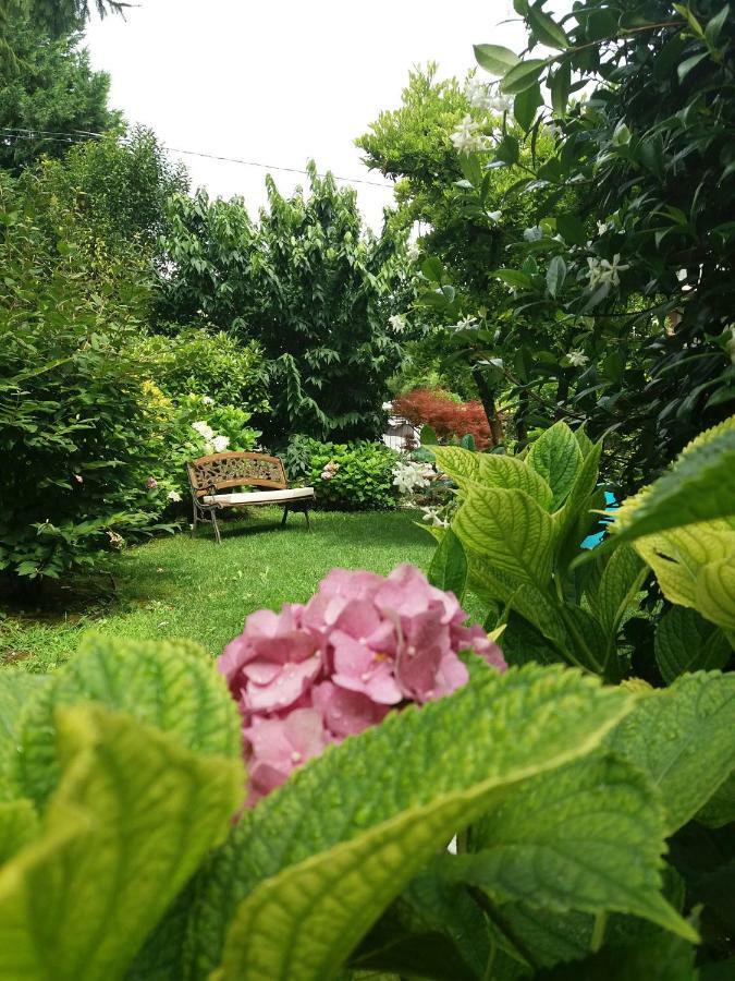 A Casa Di Dora Bed & Breakfast Treviso Exterior foto